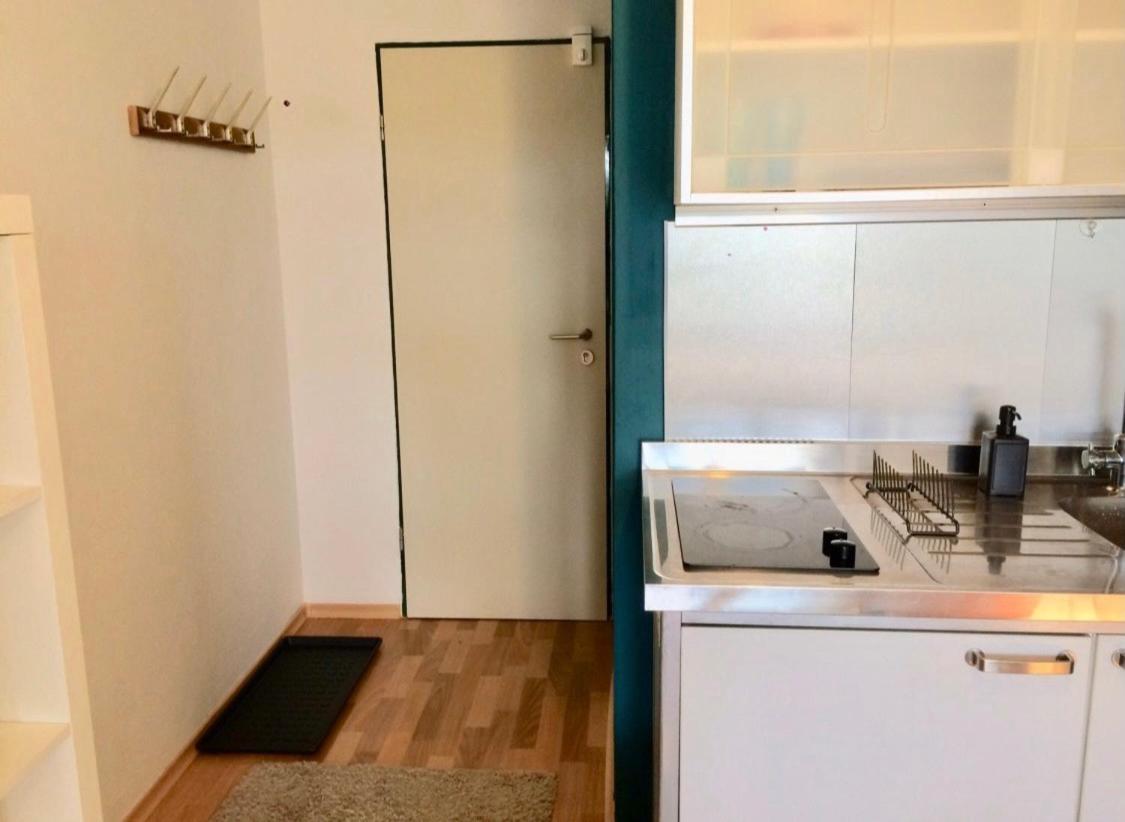 Nice Apartment , Next To University , Wifi&Free Parking Regensburg Eksteriør billede